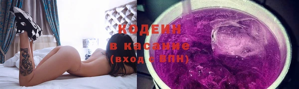 ПСИЛОЦИБИНОВЫЕ ГРИБЫ Михайлов