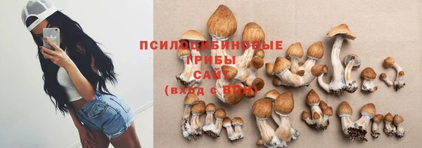 ГАЛЛЮЦИНОГЕННЫЕ ГРИБЫ Алагир