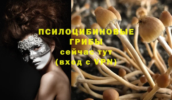 ПСИЛОЦИБИНОВЫЕ ГРИБЫ Михайлов